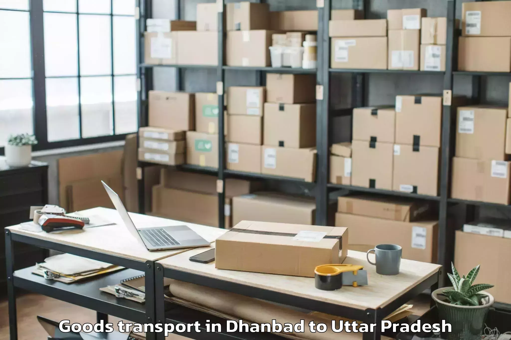 Comprehensive Dhanbad to Machhlishahr Goods Transport